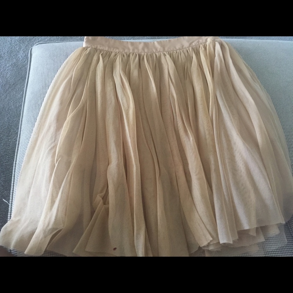 Tan  Lined mesh skirt
